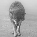 Кайрат Апрельский, 07.04