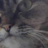 Коля Галай, 27.05, Львов