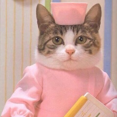 Lolo None, 01.02.1991