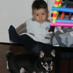 Сергей Бондарев, Санкт-Петербург