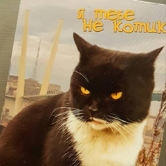 Араз Рашидов, 31.05.1985