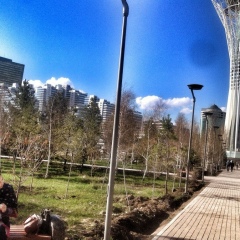 Нурбану Сембиева, 05.12, Шымкент