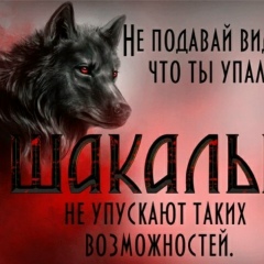 Ваха Солтамурадов, 06.08, Грозный