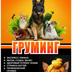 Груминг Рыбница, 05.07, Рыбница