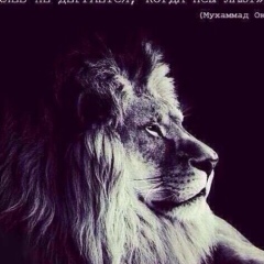 Ибрагим Торшхоев, 21.10.1991, Назрань