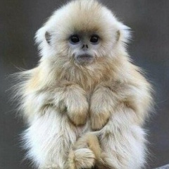 Любовь Бортникова, 25.04.1968, Красноярск