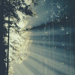 Ulbir Nurakhmetova, 04.03, Алматы