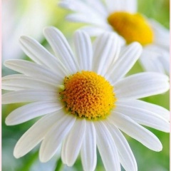 Людмила Скворцова, 11.11.1979, Санкт-Петербург