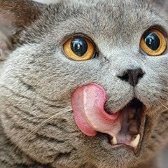 Кристина Гурьянова, 08.10.1987, Москва