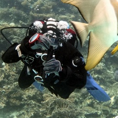 Владимир Дьяченко, 06.06, Санкт-Петербург