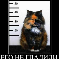 Константин Павлов, 21.02.1990