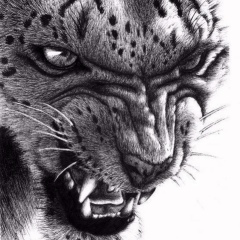 Ваня Денбонг, Санкт-Петербург