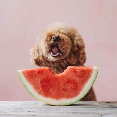 Ольга Кучерова, 21.12.1988, Praha