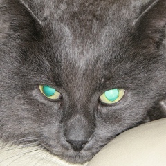 Денис Шилин, 17.03.1981, Одесса