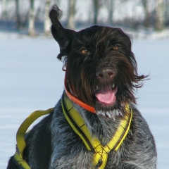Женька Баженов, 15.12, Санкт-Петербург