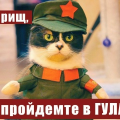 Сеньор Творожок, Москва