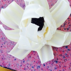 Gulnura Rakhmanova, 28.04.1989, Алматы