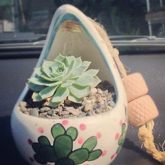 Sascha Forever, 16.10.1989