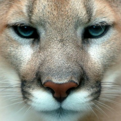 Алексей Яншалинов, 06.07, Новосибирск