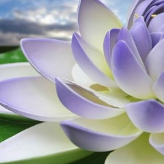 Алиса Петрова, 19.12, Fukuoka