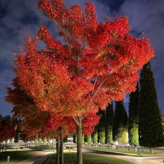 Serge Serge, Симферополь