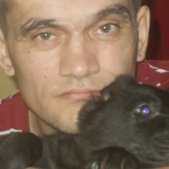 Артем Шелест, 16.06.1980, Санкт-Петербург