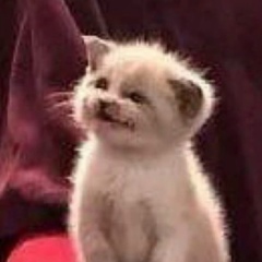 Денис , Москва