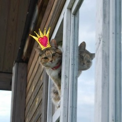 Алексей Архипов, 13.03.1920, Москва