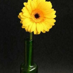 Олжас Сулейменов, 12.07.1990, Шымкент