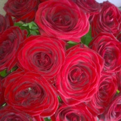 Айганым Омирсерикова