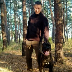 Михаил Дибнис, 13.11.1978, Луганск