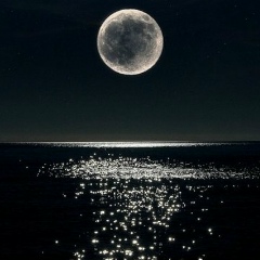 Yuri Yashenko, 17.12, Москва