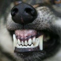 Дмитрий Горячкин, 17.01, Москва