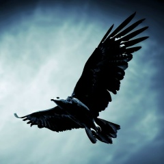 Abdallakh Kusaev, 18.06.1905