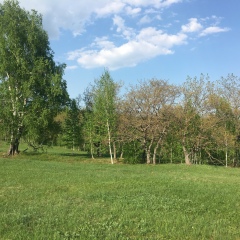 Кайрат Пуэрториканец, 18.07.1983, Алматы