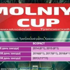 Molniya Cup-Tournament, 25.03.1984, Небуг