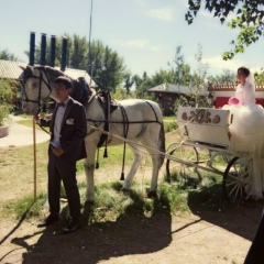 Бағдат Көптілеу, 03.10.1994, Алга