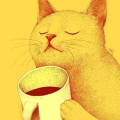 Наталья Ипатова, 13.11, Запорожье