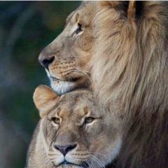 Керим Джемалдинов, 23.09