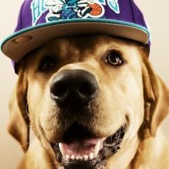 Руслан Середа, 15.02.1983, Одесса