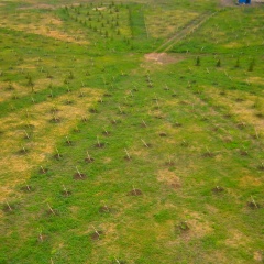 Дмитрий Чернов, 02.03.1974, Кемерово