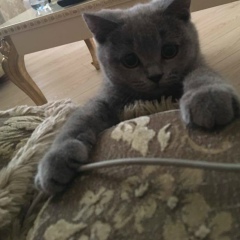 Муслим Митришев, 03.05, Грозный