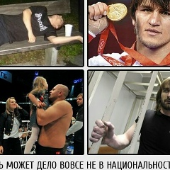 Dima Dima