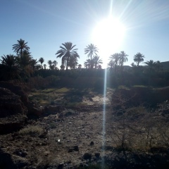 Ali Ali, 28.06, Marrakech