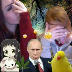 Елена Майер