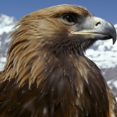 Валерий Герасенков, 05.06, Москва