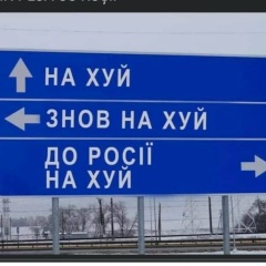 Анна Шумейко