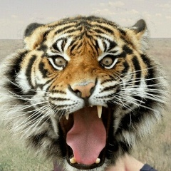 Rüs Tam