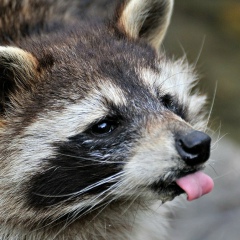 Ольга Щитова, Москва