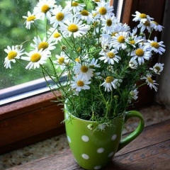 Zhansaya Sharipova, 14.01, Актобе